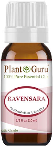 Wild Ravensara Essential Oil (Agathophyllum Aromatica Madagascar) 10 ml 100% Pure Undiluted Therapeutic Grade.