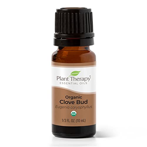 Plant Therapy Organic Clove Bud Essential Oil 100% Pure, USDA Certified Organic, Undiluted, Natural Aromatherapy, Therapeutic Grade 10 mL (1/3 oz)
