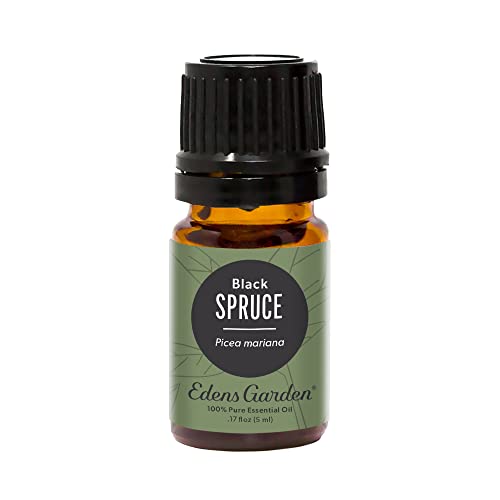 Edens Garden Spruce- Black Essential Oil, 100% Pure Therapeutic Grade (Undiluted Natural/ Homeopathic Aromatherapy Scented Essential Oil Singles) 5 ml