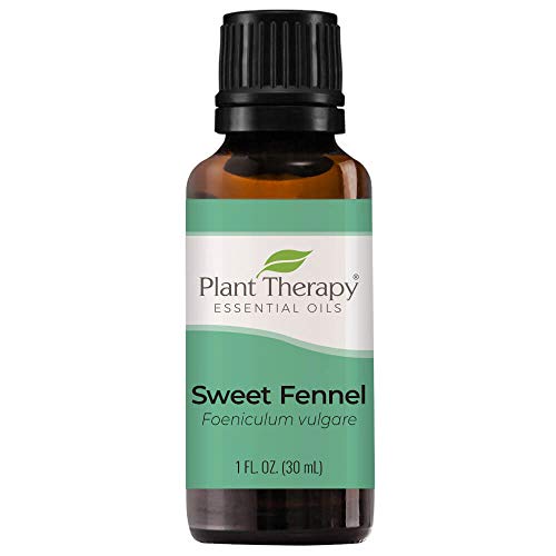 Plant Therapy Sweet Fennel Essential Oil 30 mL (1 oz) 100% Pure, Undiluted, Therapeutic Grade