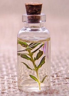 Essential Oil - Essential Oils Guide for Beginners Article