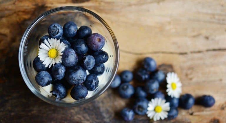 The Importance of Antioxidants and Benefits for the Skin: Here’s a Guide for Newbies
