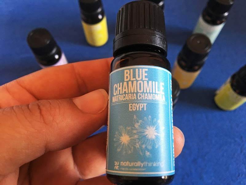 Blue chamomile essential oil