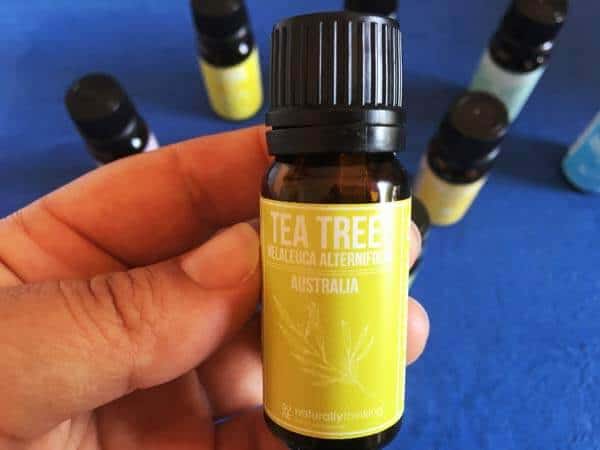 Tea tree essential oil
