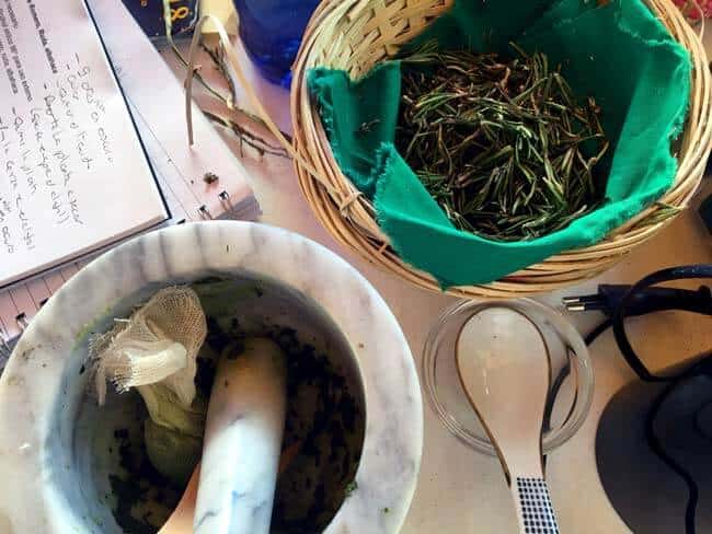 The Art of Traditional Herbalism: Latest Course I’m Doing