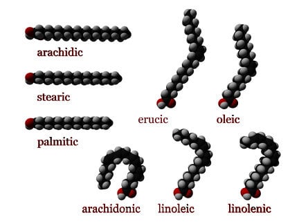 Carbon acid chains