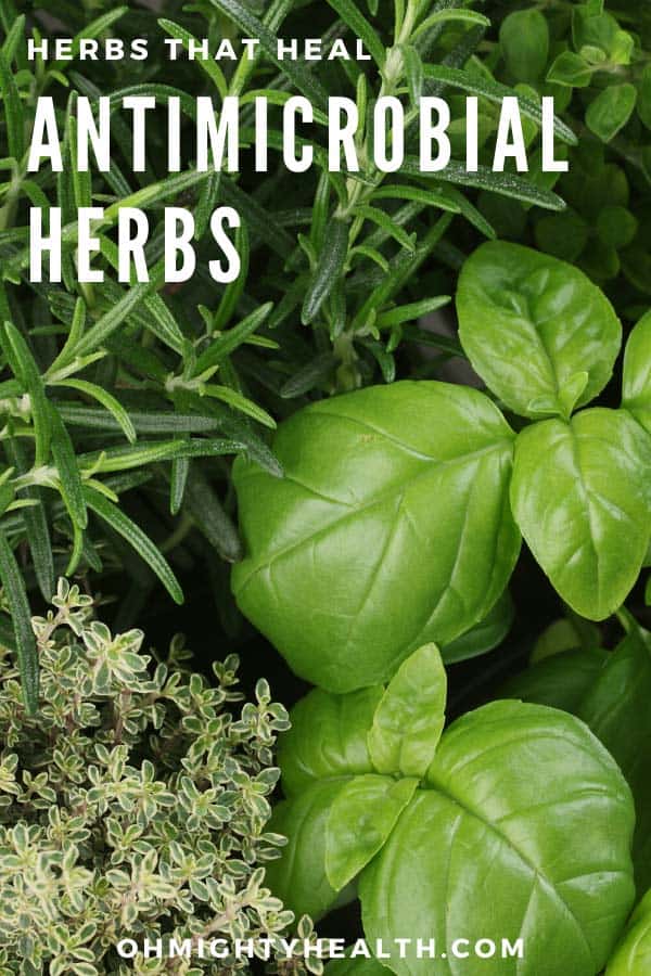 Antimicrobial Herbs