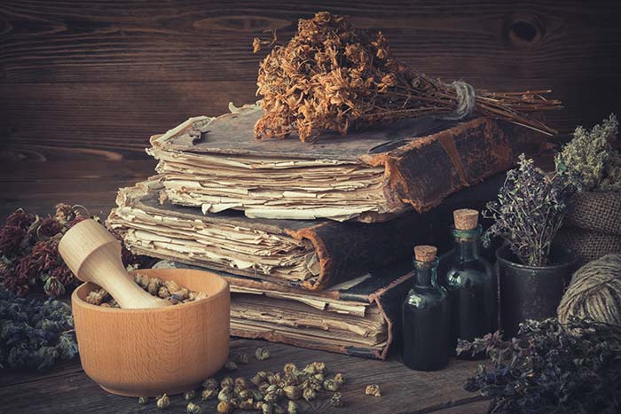 The Ancient Art of Herbal Medicine