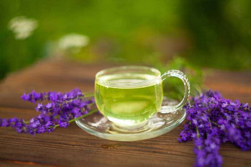 Lavender tea