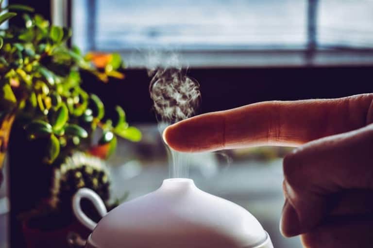 Essential Oil Mixing Guide for Your Diffuser [Beginners]