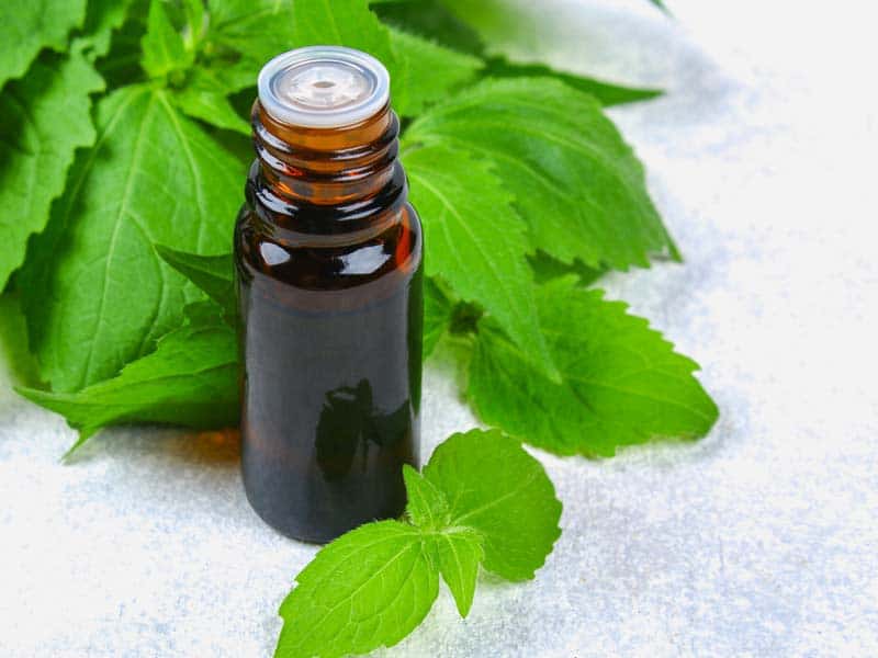 Herbal essential oil