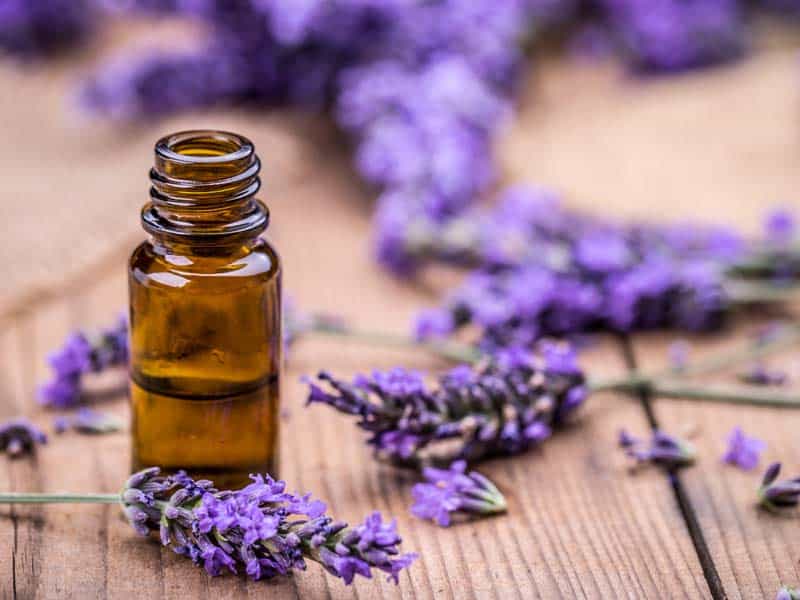 Lavender essential oil