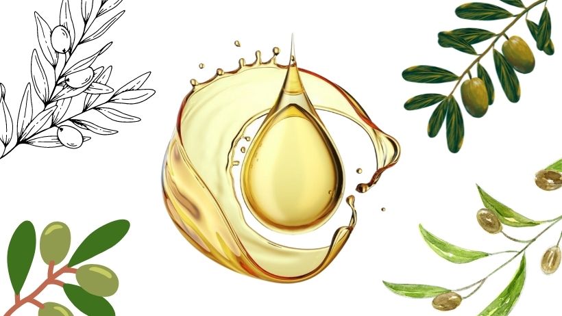 drop of olive oil graphic