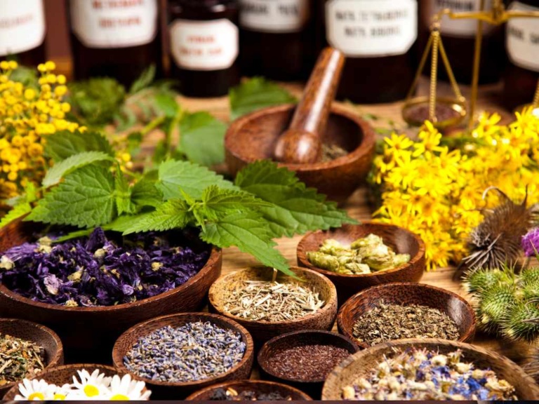 10 Simple Herbal Remedies, Recipes & Dosage