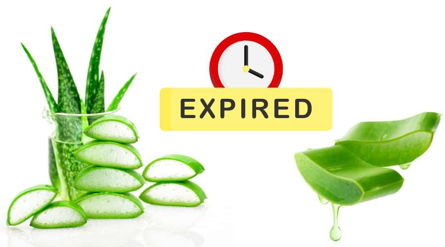 Does aloe vera expire supporting image 1