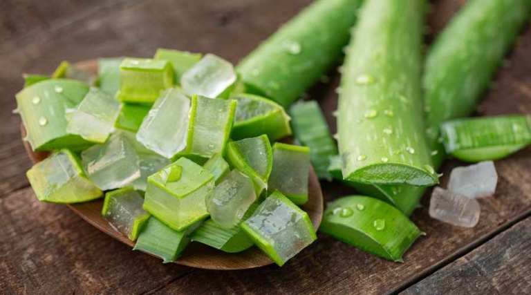 List of Diseases Aloe Vera Can Treat (Backed by Science)