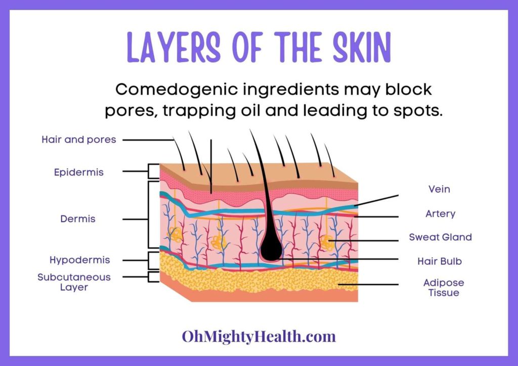 Skin layers and comedogenic impact.