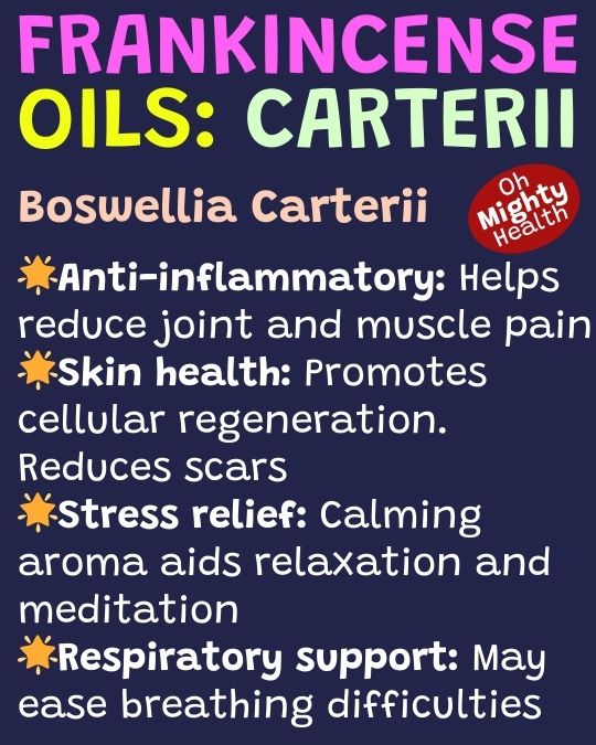 Frankincense essential oil variety Boswellia carterii.