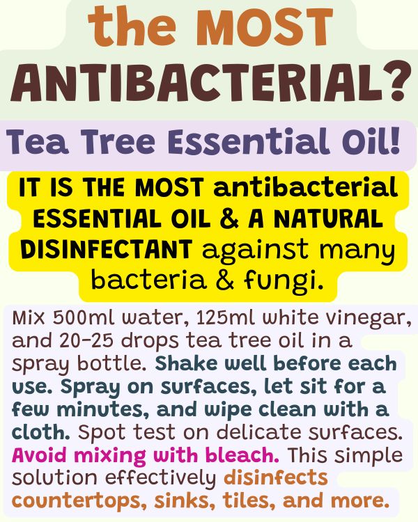 Tea tree oil disinfectant recipe.