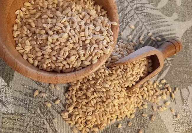 estrogen rich foods: barley