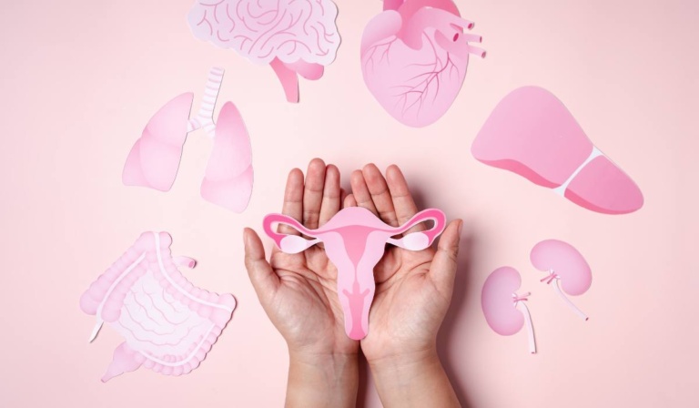 Top 10 Estrogen-Rich Foods for Women Who Want Gentle Balance