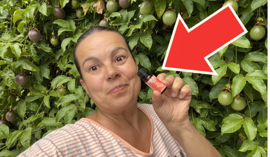 Frankincense essential oil